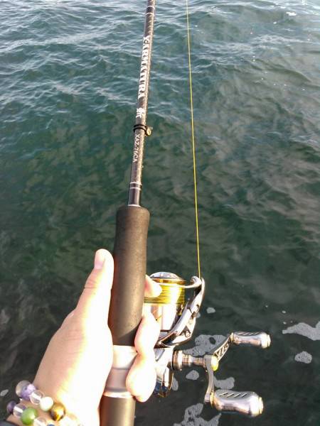 アジたあくさん